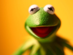 kermit